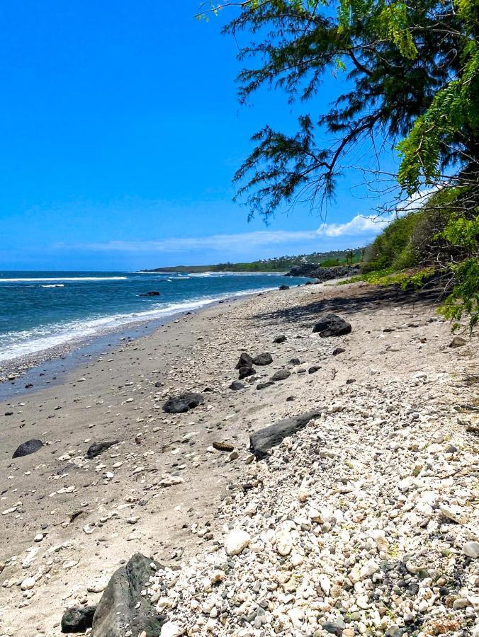 Le Petrel Bleu - Appartement Sur La Plage Des Tortues A Saint-Leu Buitenkant foto