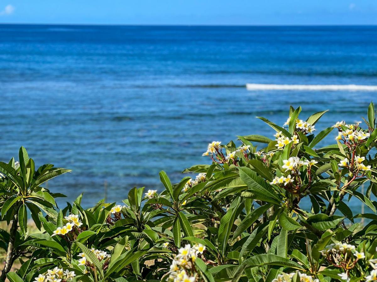 Le Petrel Bleu - Appartement Sur La Plage Des Tortues A Saint-Leu Buitenkant foto