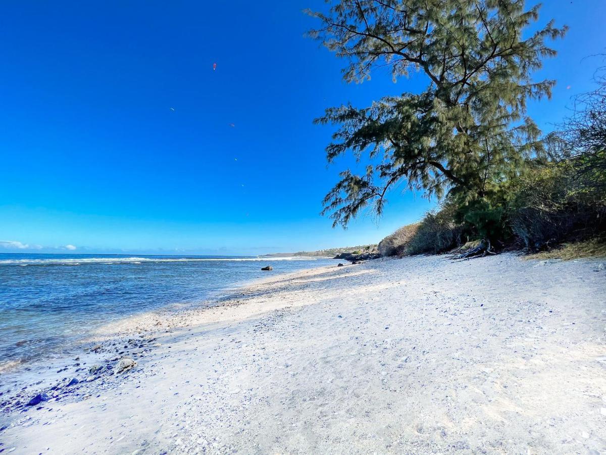 Le Petrel Bleu - Appartement Sur La Plage Des Tortues A Saint-Leu Buitenkant foto